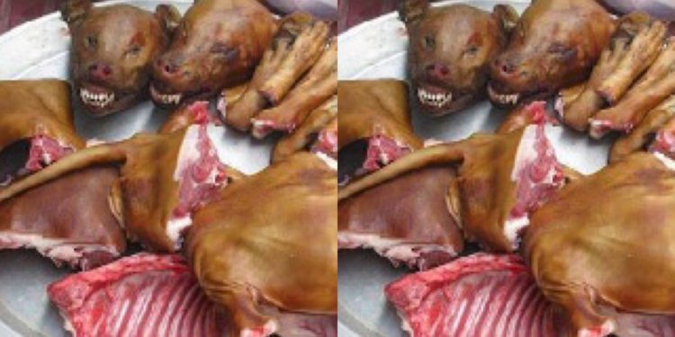 An International Animal Rights Activist, has petitioned the Government of Ghana to ban the trade in cat and dog meat for human consumption in Ghana.