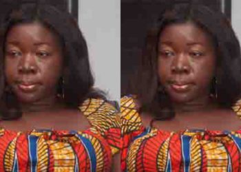 TECHIMAN NORTH SEAT IS A TOSS UP IN 2024