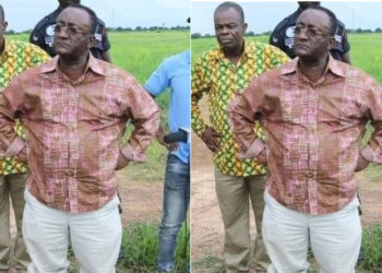 “Plantain Man” Owusu Afriyie Akoto Has Resigned As Agric Minister